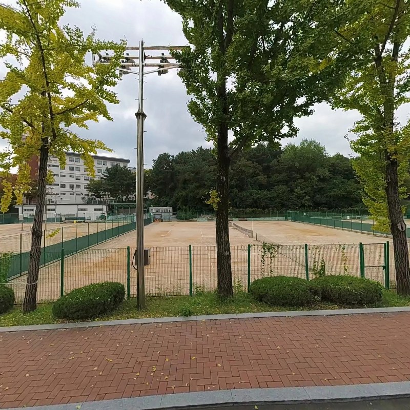 대구가톨릭대학교 테니스장